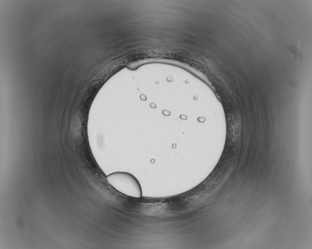 X0000110920266200907301609