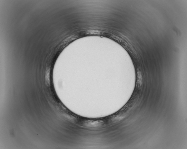 X0000110920267200907301609