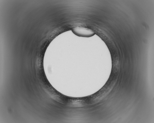 X0000110920268200907301609