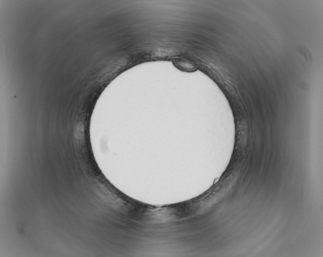 X0000110920269200907301609