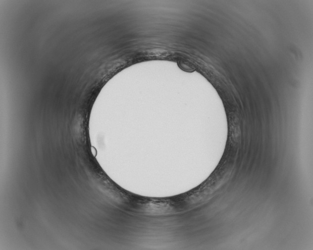 X0000110920270200907301609