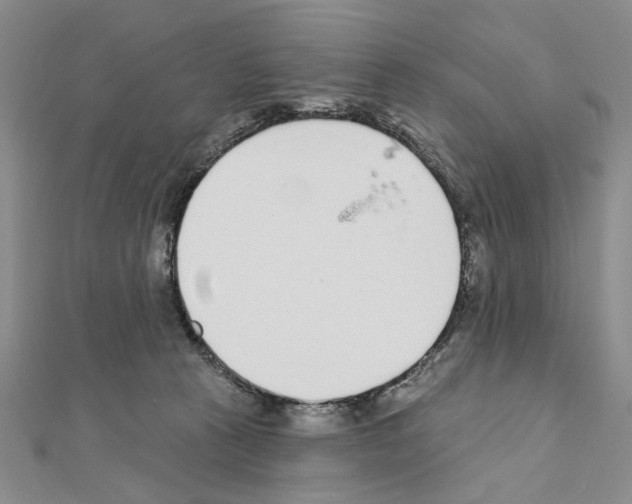 X0000110920273200907301609