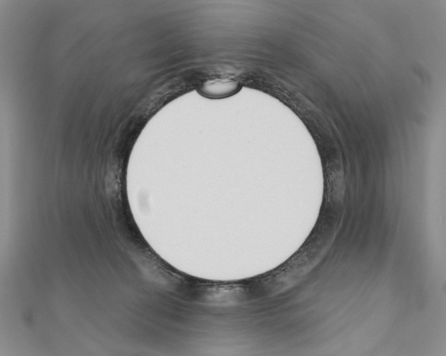 X0000110920274200907301609