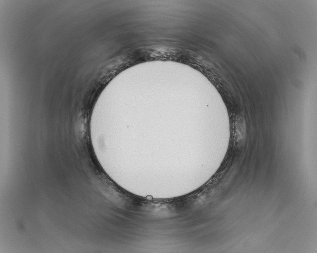 X0000110920276200907301609