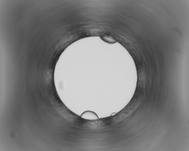 X0000110920278200907301609