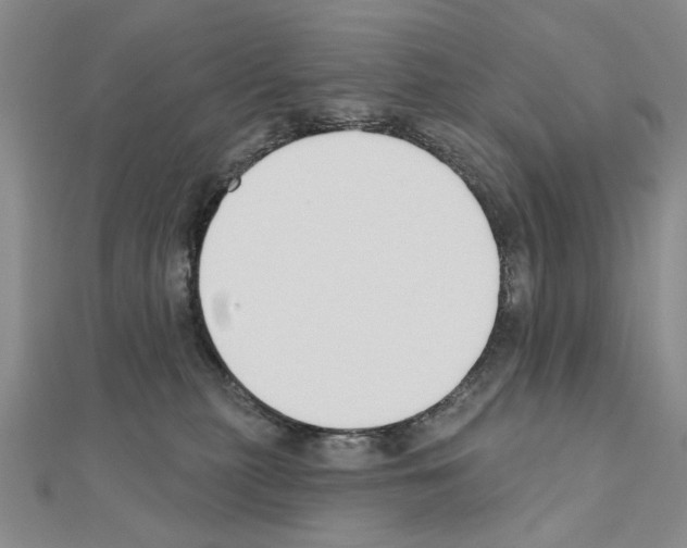 X0000110920279200907301609