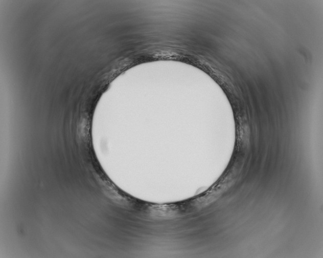 X0000110920281200907301609