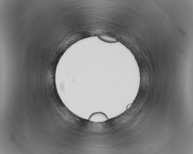 X0000110920282200907301609