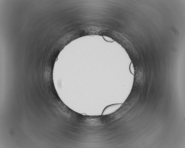 X0000110920283200907301609
