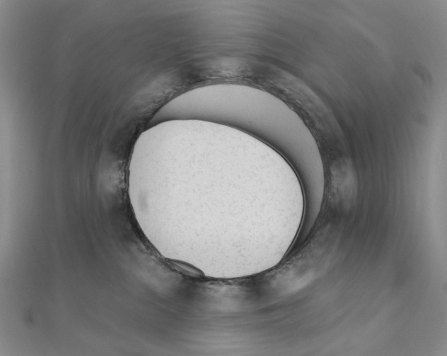 X0000110920284200907301609
