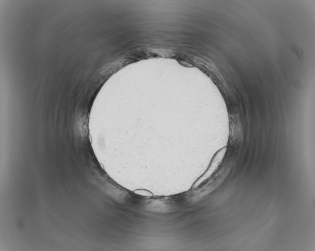 X0000110920285200907301609