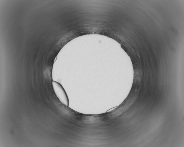 X0000110920286200907301609