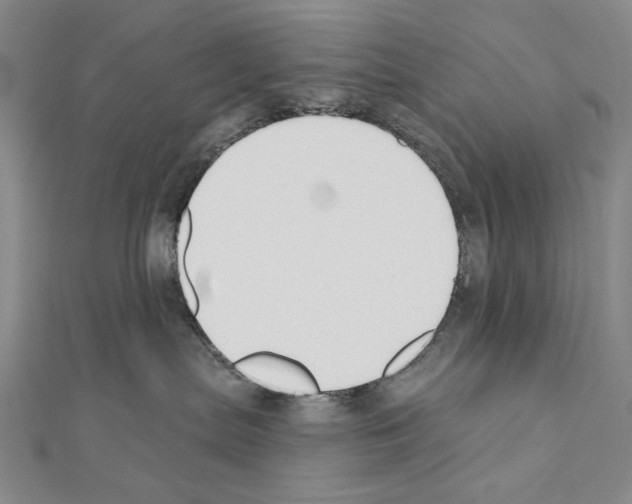 X0000110920287200907301609