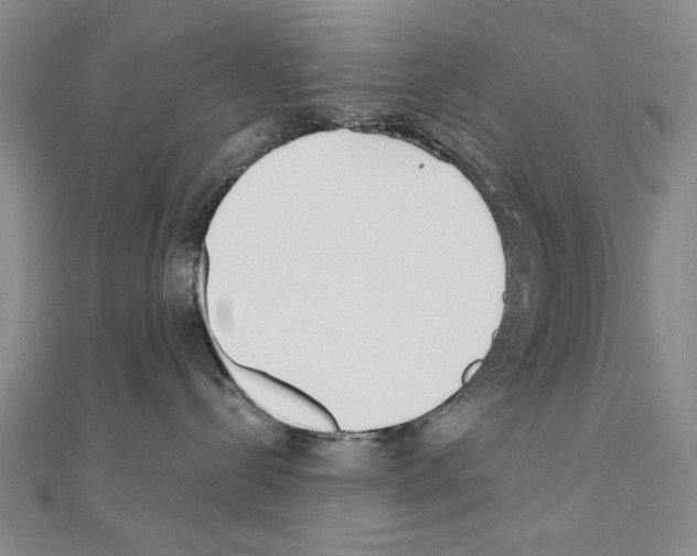 X0000110920288200907301609