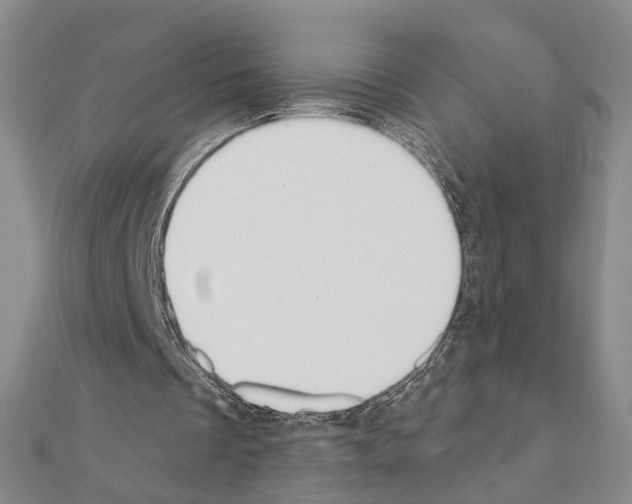 X0000110920289200907301608