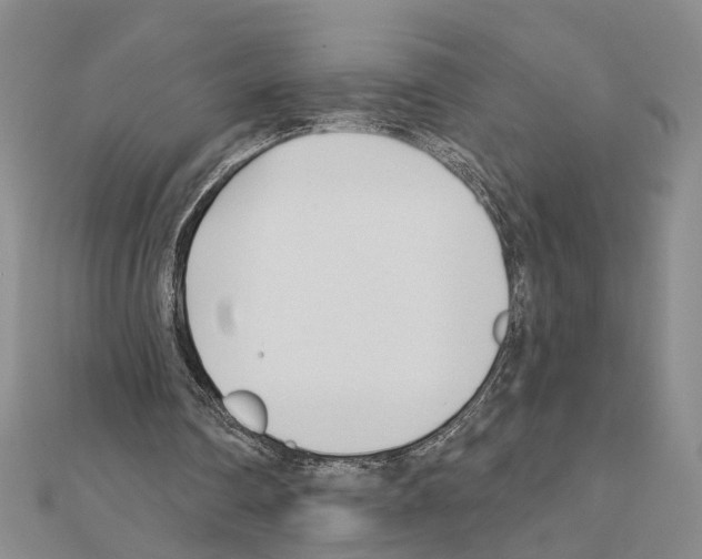 X0000110920290200907301608
