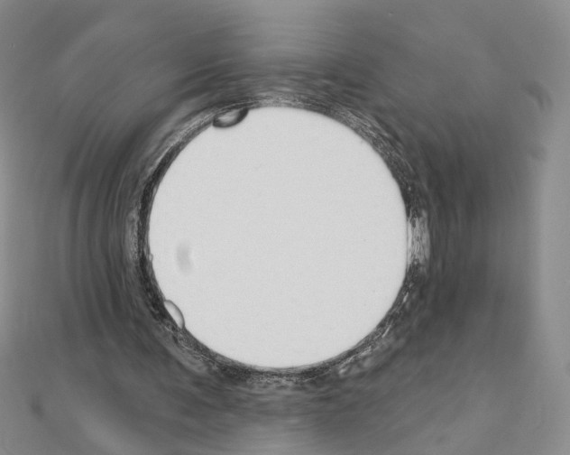 X0000110920291200907301608
