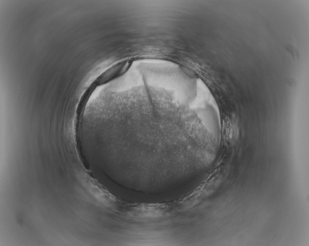 X0000110920292200907301608