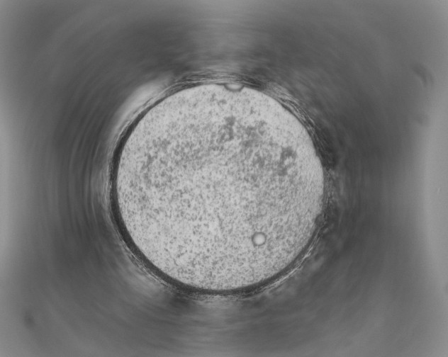X0000110920293200907301608