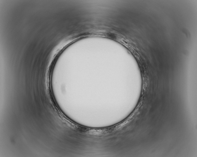 X0000110920294200907301608