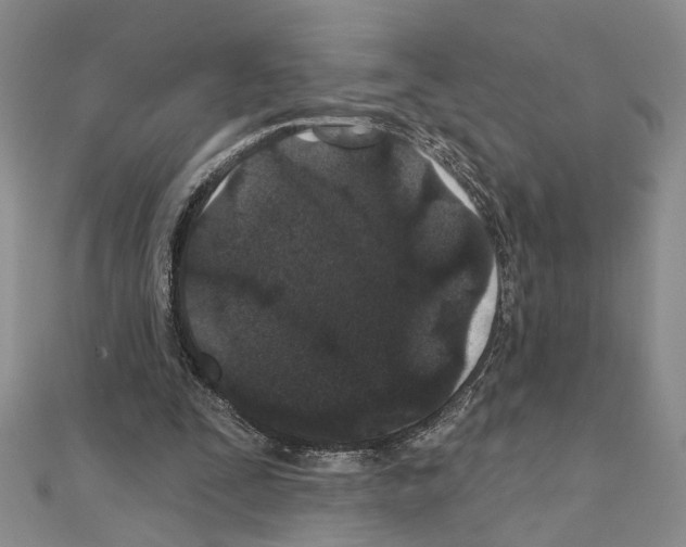 X0000110920295200907301608