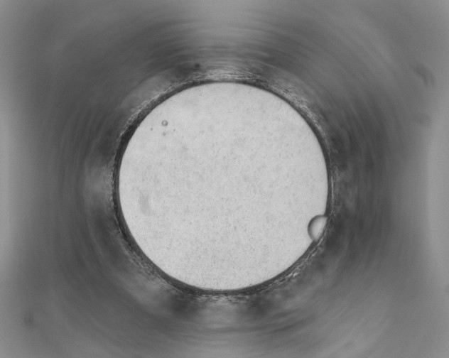 X0000110920297200907301608