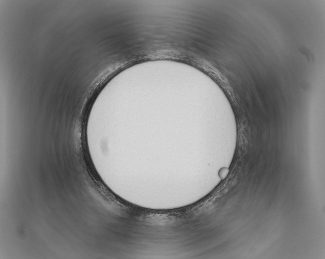X0000110920298200907301608