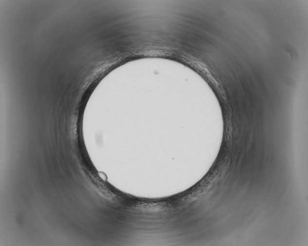 X0000110920299200907301608