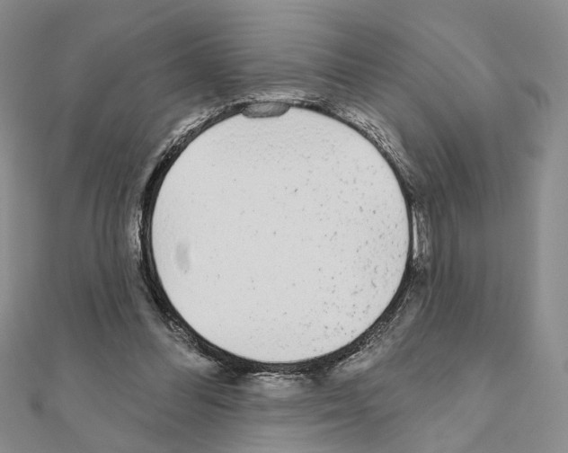 X0000110920300200907301608