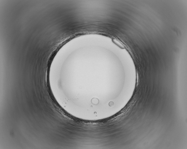 X0000110920301200907301608
