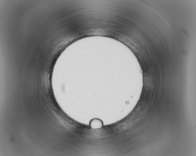 X0000110920302200907301608