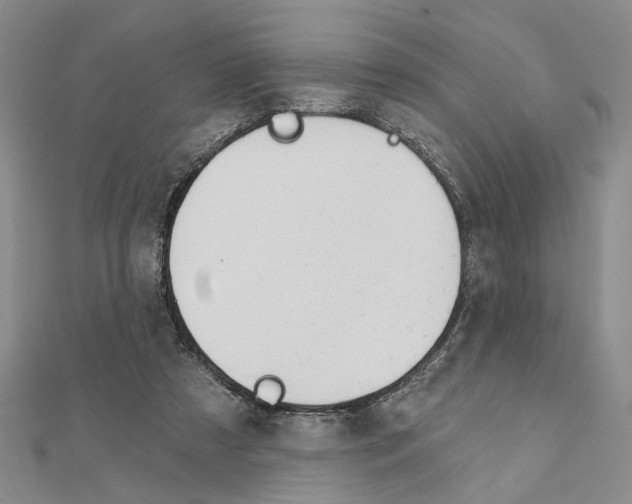 X0000110920305200907301608
