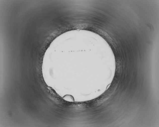 X0000110920307200907301608
