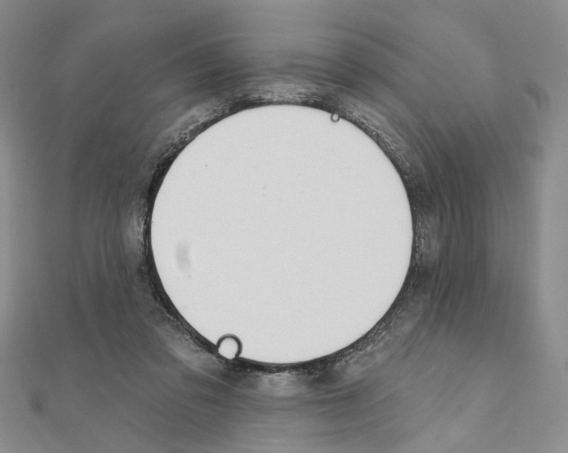 X0000110920309200907301608
