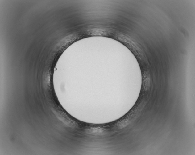 X0000110920310200907301608