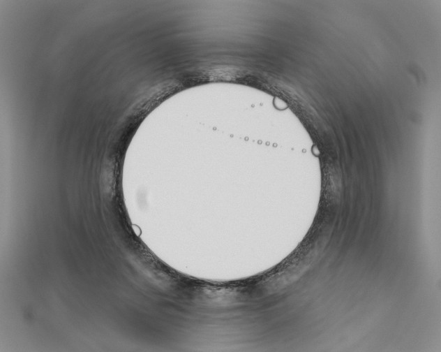 X0000110920311200907301608