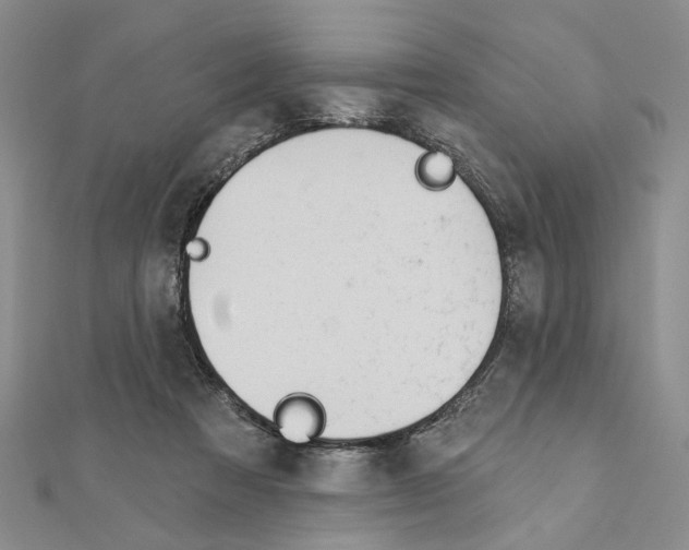 X0000110920313200907301608