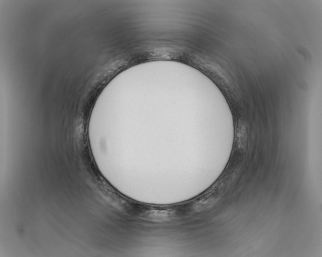 X0000110920314200907301608
