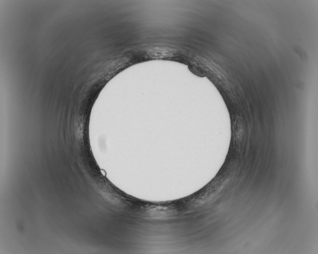 X0000110920315200907301608