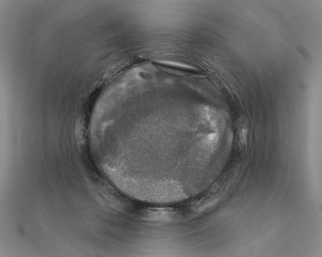 X0000110920316200907301608