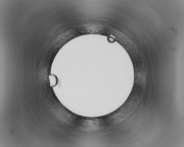 X0000110920317200907301608