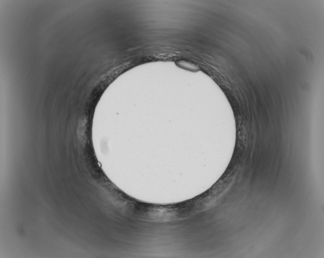 X0000110920319200907301608