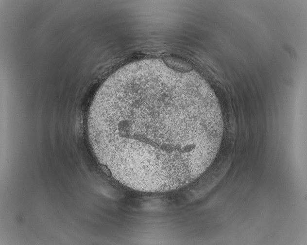 X0000110920320200907301608