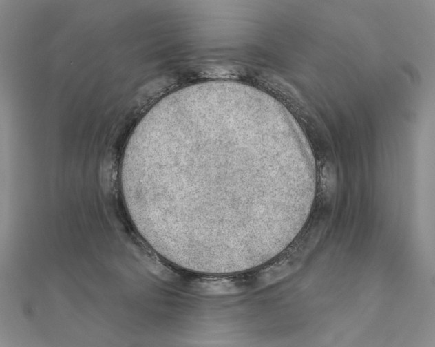 X0000110920322200907301608