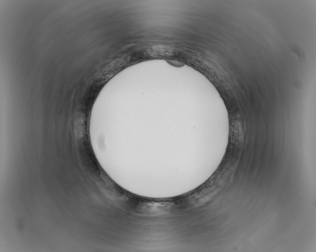 X0000110920323200907301608