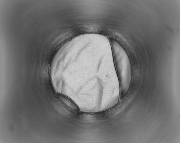 X0000110920325200907301608