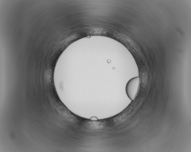 X0000110920326200907301608