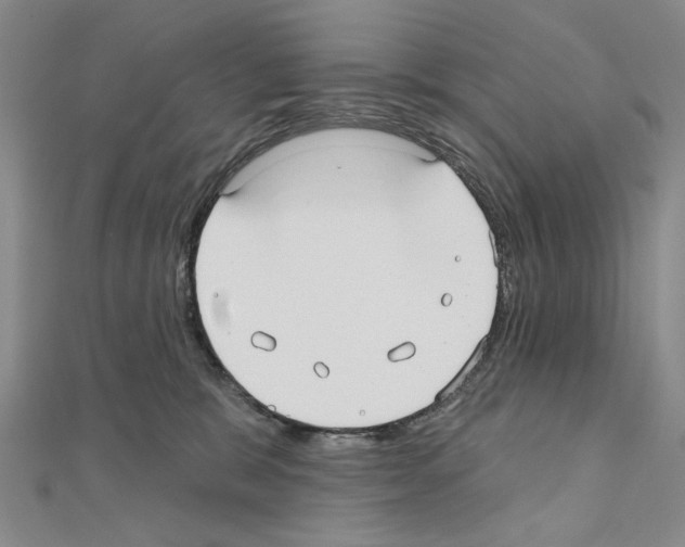 X0000110920327200907301608