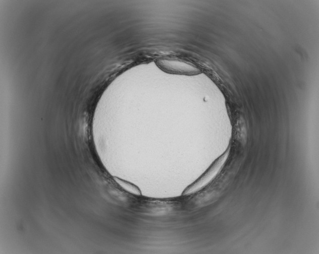 X0000110920328200907301608