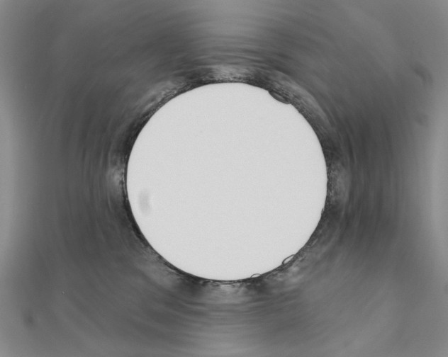 X0000110920329200907301608